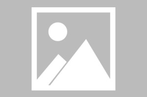 ewc赛事直播-重庆双姝闪耀游泳世青赛，十五运会备战展成效